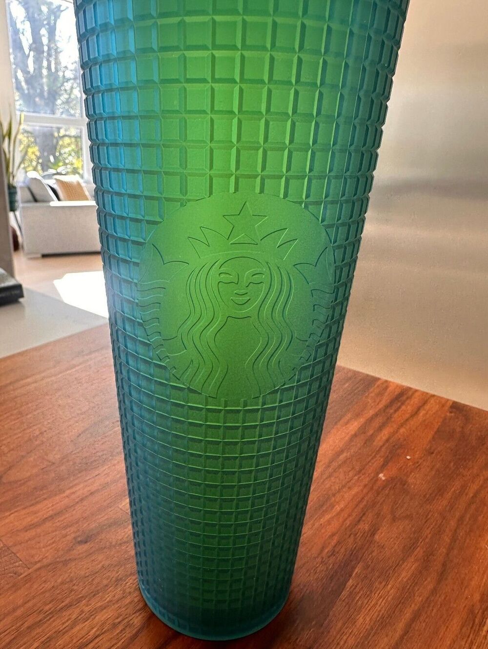Starbucks Jelly Blue & Green Grid Tumbler Cold Cup with Lid and Straw 24oz